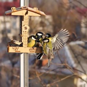 ����: ����-����. 