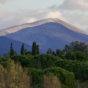 ����: �������� ������