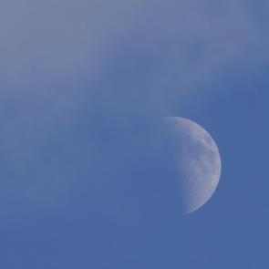 ����: ����