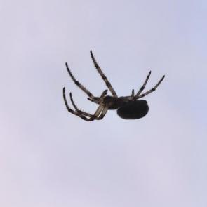 ����: ��������� �������