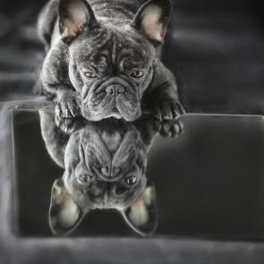 ����: ��� �? ����. 