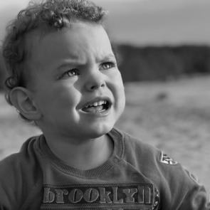 ����: ����� 