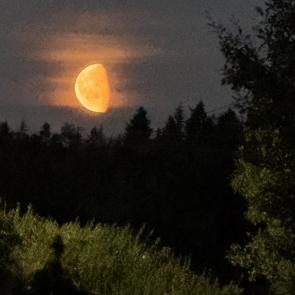 ����: ���� �������