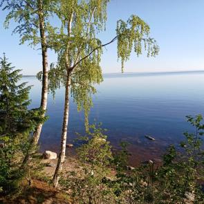 ����: ������