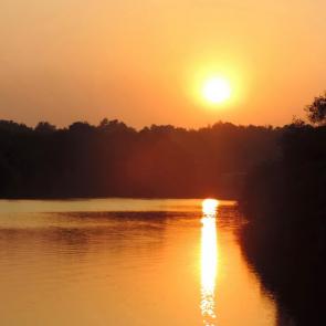 ����: ������