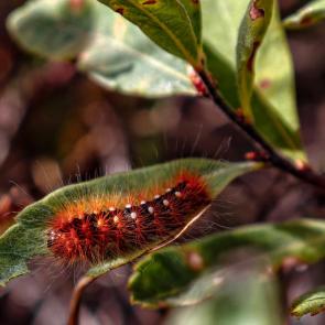 ����: �������� ��������