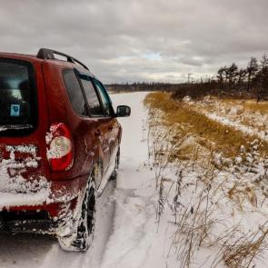 ����: ���������� ����������� 