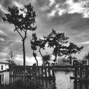 ����: ������� �������