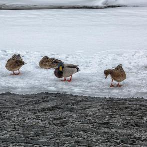 ����: ��������� ������.