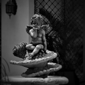 ����: ����