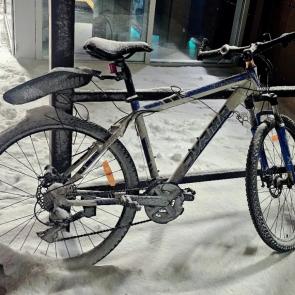 ����: �����������