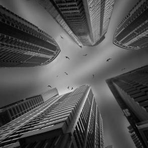 ����: �����