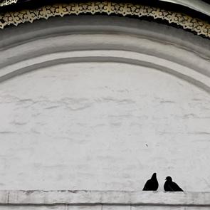 ����: ������� 