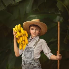 ����: ���� ������