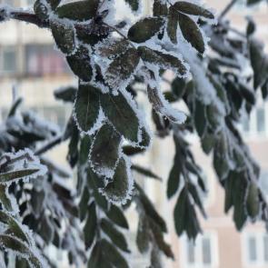 ������ � ���������