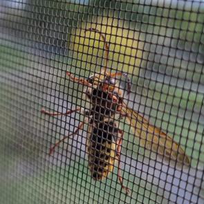 ����: �������� � �����