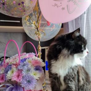 ����: ������� �������� ������������