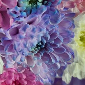 ����: ��������� ����������