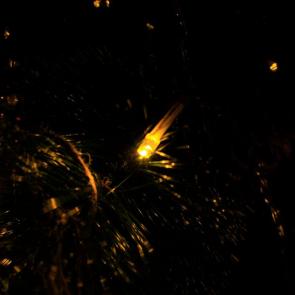 ��������� ����������� ���������