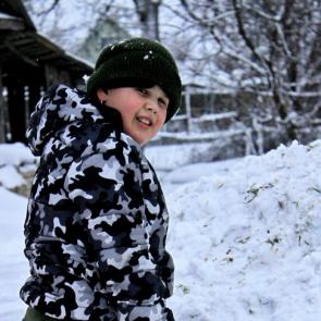 ����: ������� ��������� 