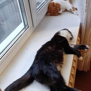 ����: �� ������ �� ������������ 