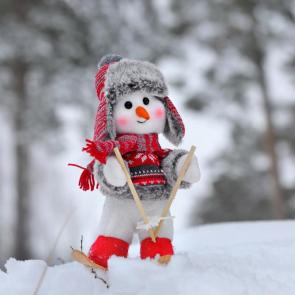 ����: ��������. 