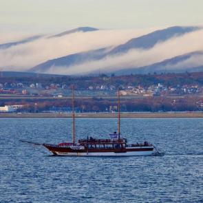 ����: ������