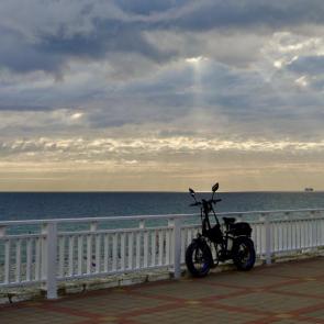 ����: �������