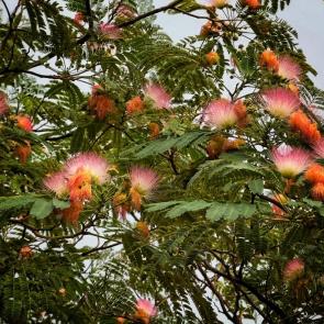 ����: �������� ������