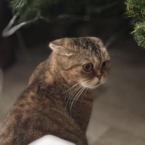 �������� ������ ���