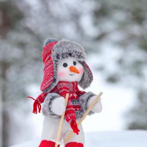 ����: ����������.