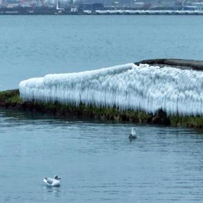 ����: ������ ����