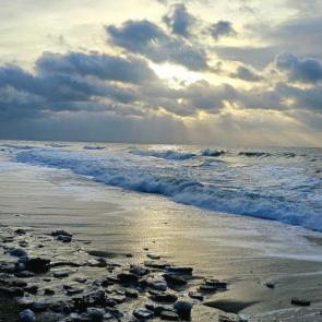 ����: ������ �������