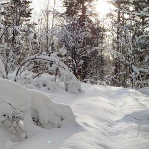 ����: ������� ������� 