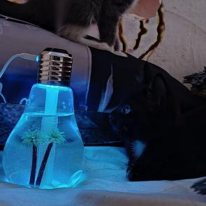 ����: �������