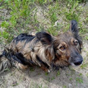 ����: ������ 