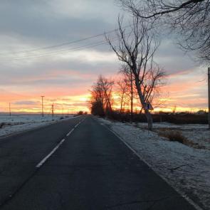 ����: ������ 