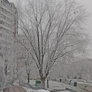 ����: �������� ������ ������ 