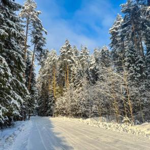 ����: ������ ���