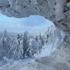 ����: ������ ������