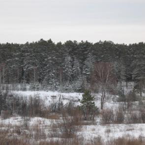 ����: ����