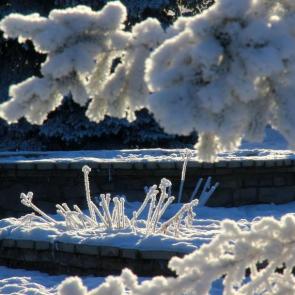 ����: ����