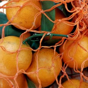 ����: ��� �� ����� ��� ��� ��������