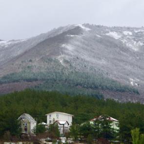 ����: � �������� ��������