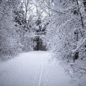 ���������� �� ���� ����