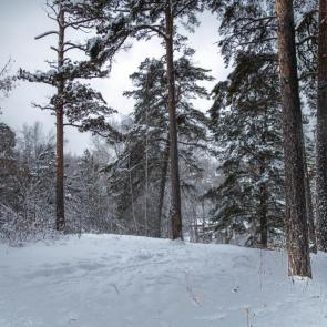 ���������� ������� �������