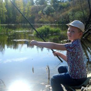 ����: ����