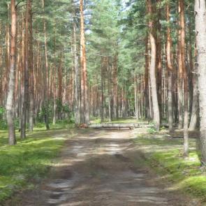 ����: ������ � �������� ����