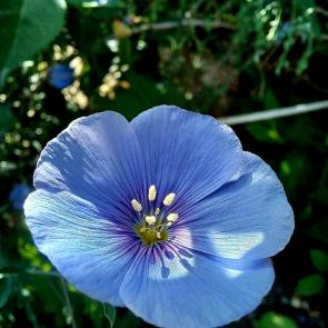 ���� ��������: �������� �������