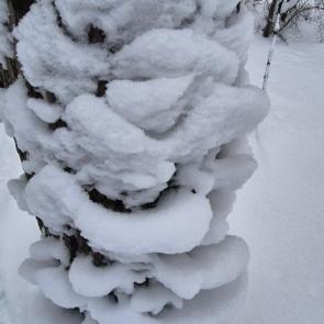 ����: ������� �����